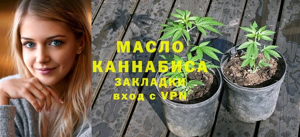 МДПВ Вяземский