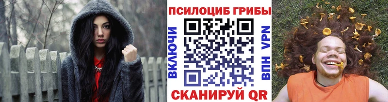 Псилоцибиновые грибы прущие грибы  Плавск 